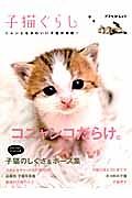 子猫ぐらし　コニャンコだらけ。