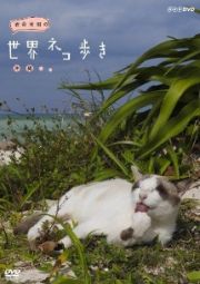 岩合光昭の世界ネコ歩き　沖縄