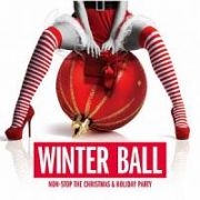 ＷＩＮＴＥＲ　ＢＡＬＬ　ＮＯＮ－ＳＴＯＰ　ＴＨＥ　ＣＨＲＩＳＴＭＡＳ　＆　ＨＯＬＩＤＡＹ　ＰＡＲＴＹ