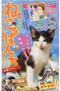 ねこぱんち　お猫サマー号