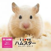 Ｉ　ＬＯＶＥ　ハムスターカレンダー　２０１７