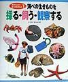 飼ってみよう！海べの生きもの　海べの生きものを採る・飼う・観察する