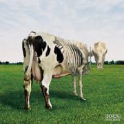 原子心母の危機　Ａｔｏｍ　Ｈｅａｒｔ　Ｍｏｔｈｅｒ　ｉｓ　ｏｎ　ｔｈｅ　ｅｄｇｅ