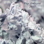 ＰＯＰ　ＡＭＢＩＥＮＴ　２０１７