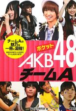 ポケットＡＫＢ４８　チームＡ