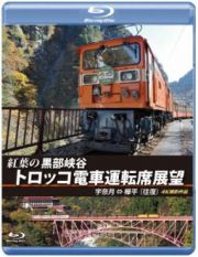 紅葉の黒部峡谷トロッコ電車運転席展望　宇奈月⇔欅平（往復）　４Ｋ撮影作品