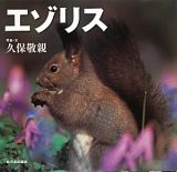 エゾリス　北国の野生動物