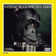 ナショナルジオグラフィック　新しいチンパンジー