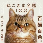 ねこさま名鑑１００