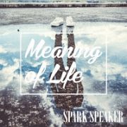 Ｍｅａｎｉｎｇ　ｏｆ　Ｌｉｆｅ（通常盤）