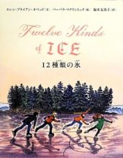 １２種類の氷