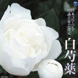 平成二十五年度（第四十九回）日本コロムビア全国吟詠コンクール　課題吟　白芍薬
