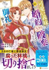 可愛い義妹が婚約破棄されたらしいので、今から「御礼」に参ります。