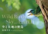 空と大地の野鳥　Ｗｉｌｄ　Ｂｉｒｄｓ　ｏｆ　Ｓｋｙ　ａｎｄ　Ｅａｒｔｈ