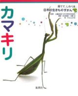 育てて、しらべる日本の生きものずかん　カマキリ