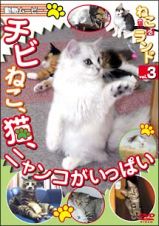 動物ムービーＤＶＤシリーズ　ねこ（猫）　ざ　ランド　３　チビねこ、猫、ニャンコがいっぱい