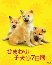 ひまわりと子犬の７日間