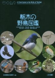 栃木の野鳥図鑑