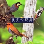 ＜ＣＯＬＥＺＯ！＞自然音　日本の野鳥