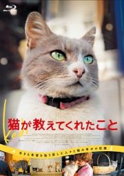 猫が教えてくれたこと