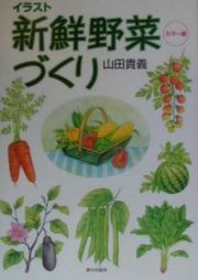 イラスト新鮮野菜づくり