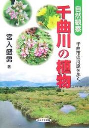 千曲川の植物　自然観察