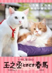 いやし猫ＤＶＤ　猫侍　玉之丞ときどき春馬