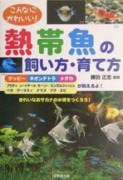 こんなにかわいい！熱帯魚の飼い方・育て方