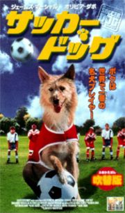 サッカー・ドッグ