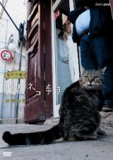 岩合光昭の世界ネコ歩き　シチリア