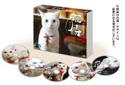 猫侍　ＳＥＡＳＯＮ２　ＤＶＤ－ＢＯＸ