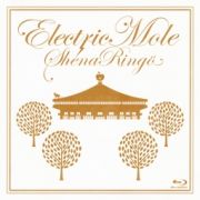 Ｅｌｅｃｔｒｉｃ　Ｍｏｌｅ