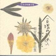 日本合唱曲全集「合唱のためのコンポジション」間宮芳生作品集