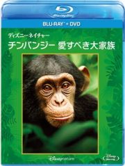 ディズニーネイチャー／チンパンジー　愛すべき大家族　ブルーレイ＋ＤＶＤセット