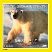 ナショナル　ジオ　グラフィック～北極グマ　カナダ