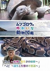 『ムツゴロウのゆかいな動物図鑑』　シリーズ　「カメ　～産卵と長生きの秘密～」　「ヘビ　～誕生と生態の不思議～」