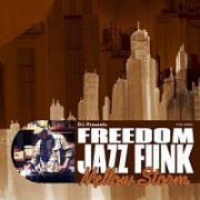 Ｄ．Ｌ　Ｐｒｅｓｅｎｔｓ　ＦＲＥＥＤＯＭ　ＪＡＺＺ　ＦＵＮＫ　ＭＥＬＬＯＷ　ＳＴＯＲＭ