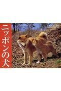 ニッポンの犬カレンダー　２００８