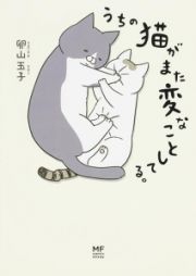 うちの猫がまた変なことしてる。