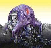 ＶＵＬＮＩＣＵＲＡ