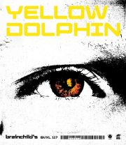 ＹＥＬＬＯＷ　ＤＯＬＰＨＩＮ