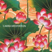 ＣＡＫＲＡ　ＭＥＤＩＴＡＴＩＯＮ