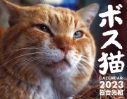 ボス猫カレンダー２０２３