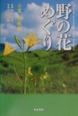 野の花めぐり　夏・初秋編