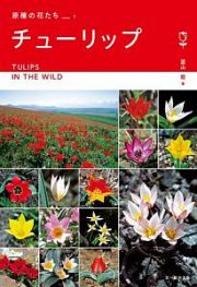 チューリップ　ヨーロッパ・アジア９カ国紀行　原種の花たち１