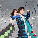 Ｃａｒｎｉｖａｌ／ＢＩＧ　ＬＯＶＥ【初回限定盤】（ＣＤ＋ＢＤ）