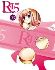 Ｒ－１５　Ｂｌｕ－ｒａｙ　第３巻