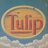 ＴＵＬＩＰ　ＬＡＮＤ