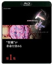 ＮＨＫスペシャル　人体　神秘の巨大ネットワーク　第１集　“腎臓”が寿命を決める