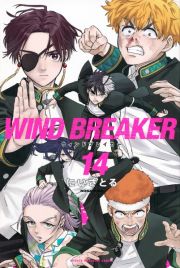 ＷＩＮＤ　ＢＲＥＡＫＥＲ１４